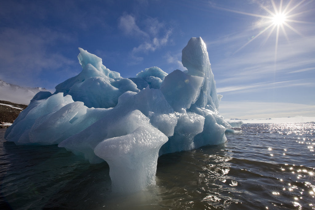 Detail of Iceberg Melting Under Summer Sun in Burgerbukta Bay by Anonymous