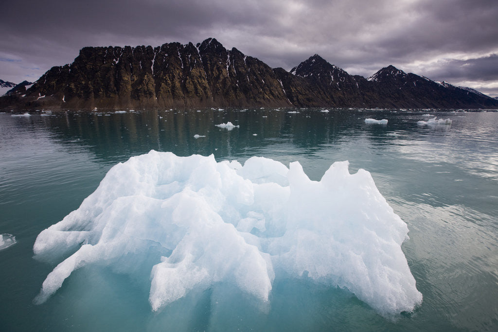 Detail of Iceberg Floating in Lilliehook Fjord at Spitsbergen by Anonymous