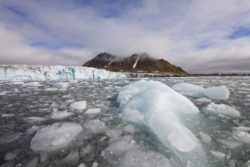 Detail of Icebergs Floating in Hornsund Fjord Near Hans Glacier by Anonymous