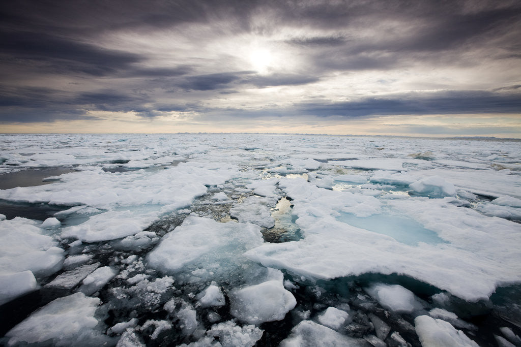 Detail of Storm Clouds Above Pack Ice in Habenichtbukta Bay by Anonymous