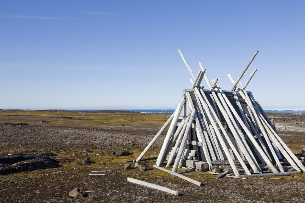 Detail of Trappers Hut Protected by Driftwood in Tusenoyane Archipelago by Anonymous