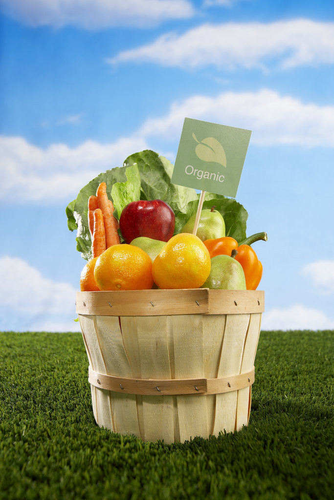 Detail of Bushel Full of Organic Fruits and Vegetables by Anonymous