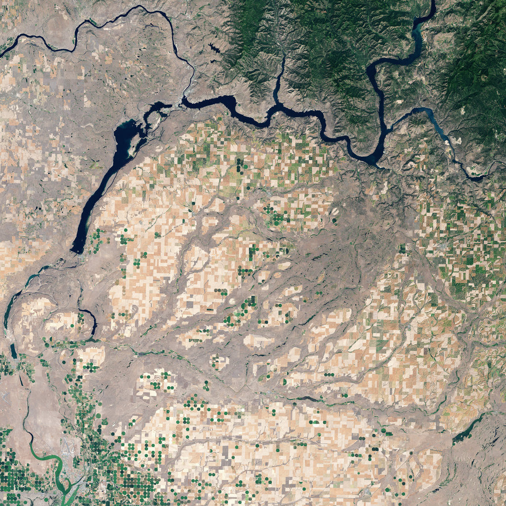 Detail of Grand Coulee Dam and Franklin Delano Roosevelt Lake in Summer by Anonymous