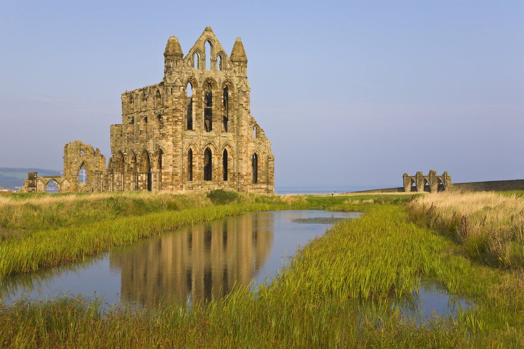 Detail of Ruins of Whitby Abbey in North Yorkshire by Anonymous