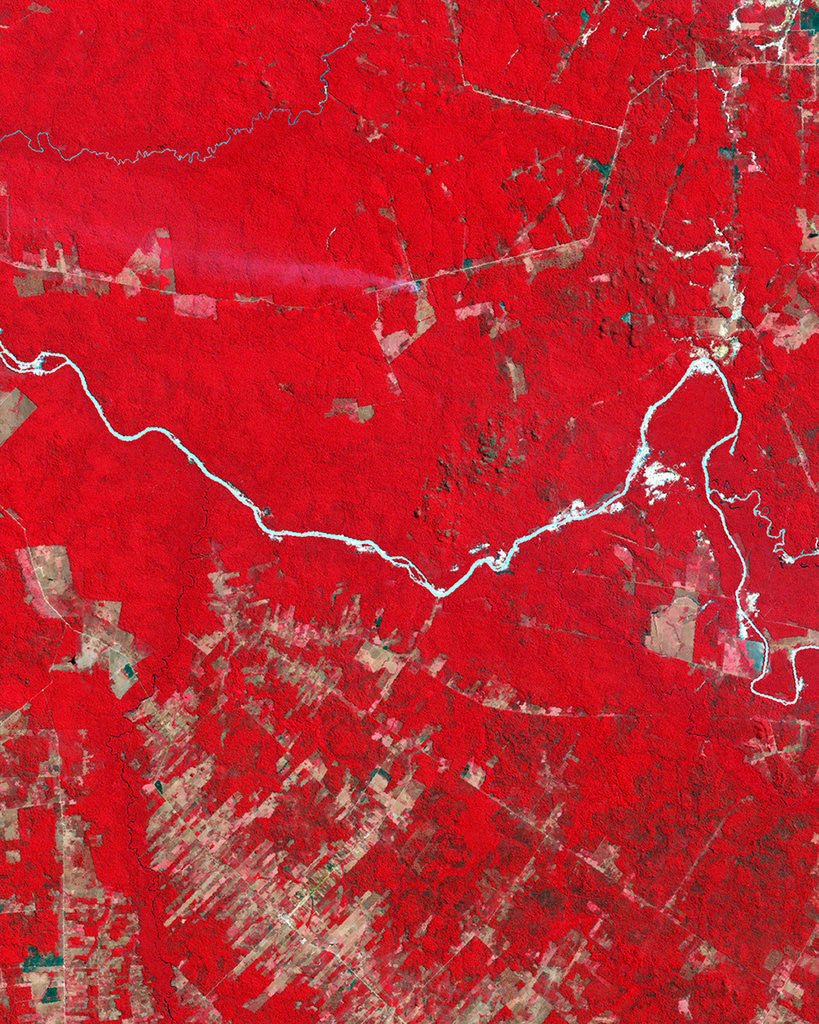 Detail of Deforestation in the Amazon Basin in Brazil by Anonymous