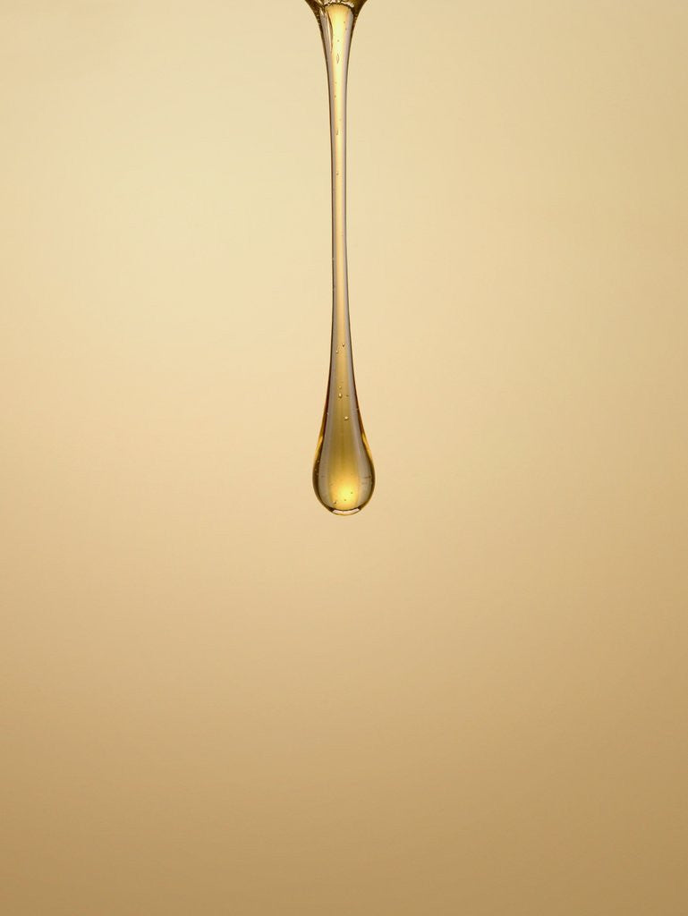 Detail of Dripping Syrup by Anonymous
