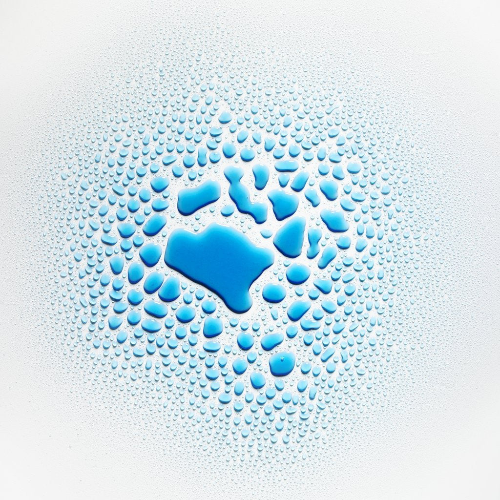 Detail of Aqua Water Drops by Anonymous