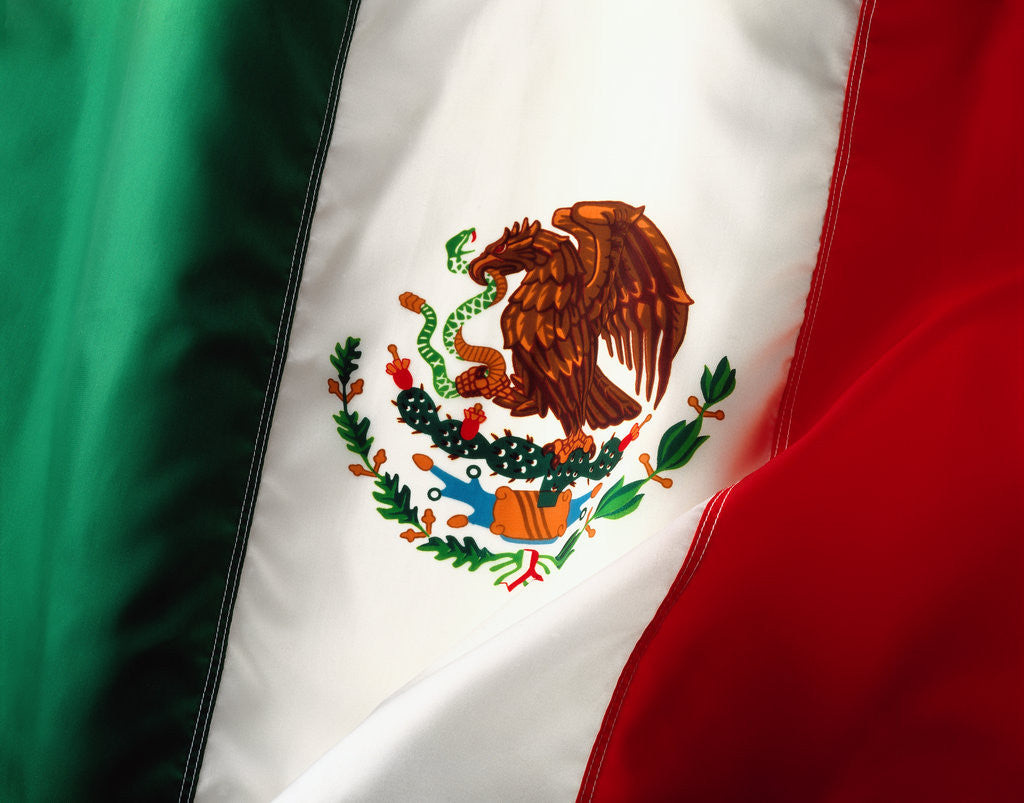 Detail of Mexican flag by Anonymous