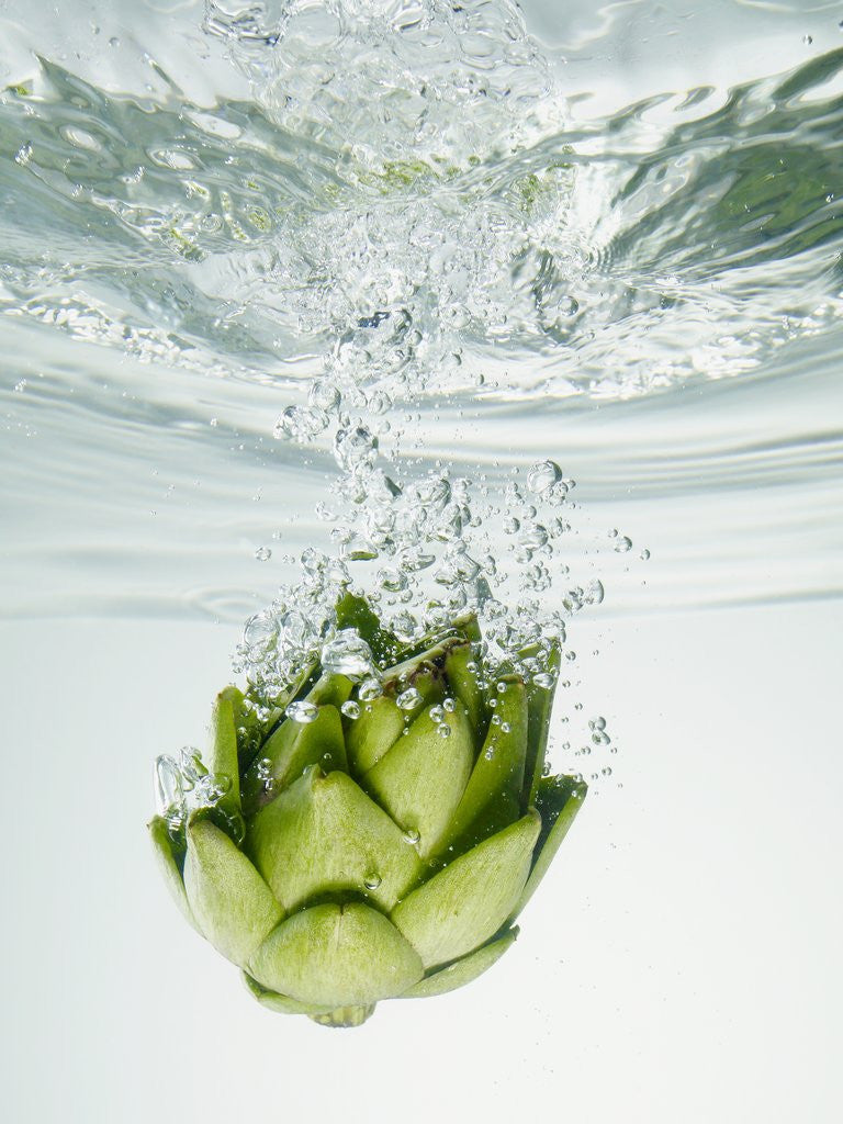 Detail of Artichoke in Water by Anonymous