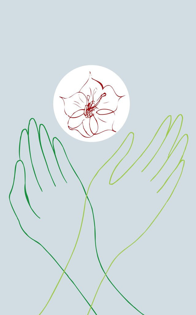 Detail of Two Hands Crossed in Front of a Flower by Corbis