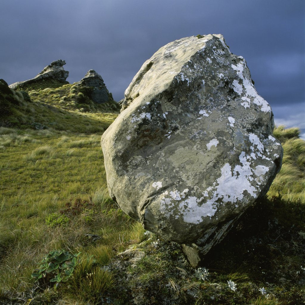Detail of Boulder on a Hillside by Anonymous