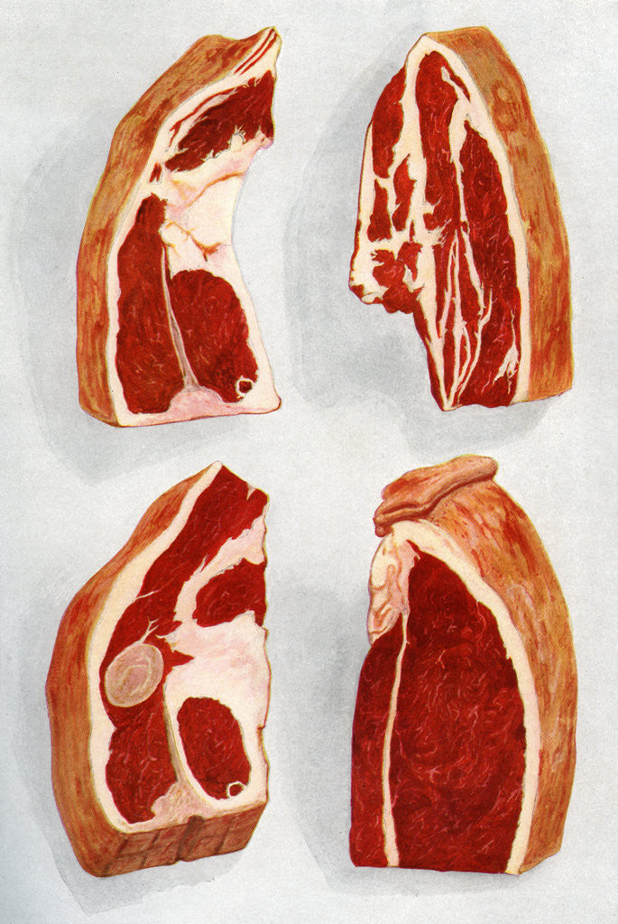 Detail of Illustration of four types of beef steaks by Anonymous