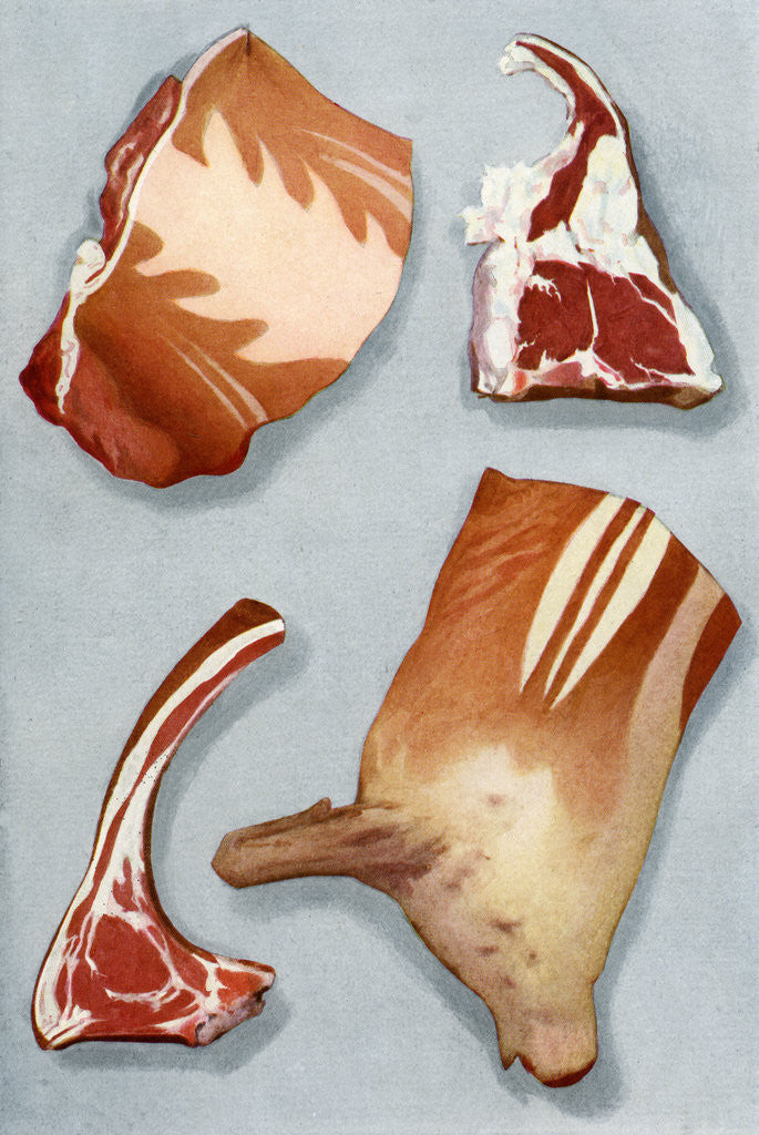Detail of Illustration of four cuts of lamb by Anonymous