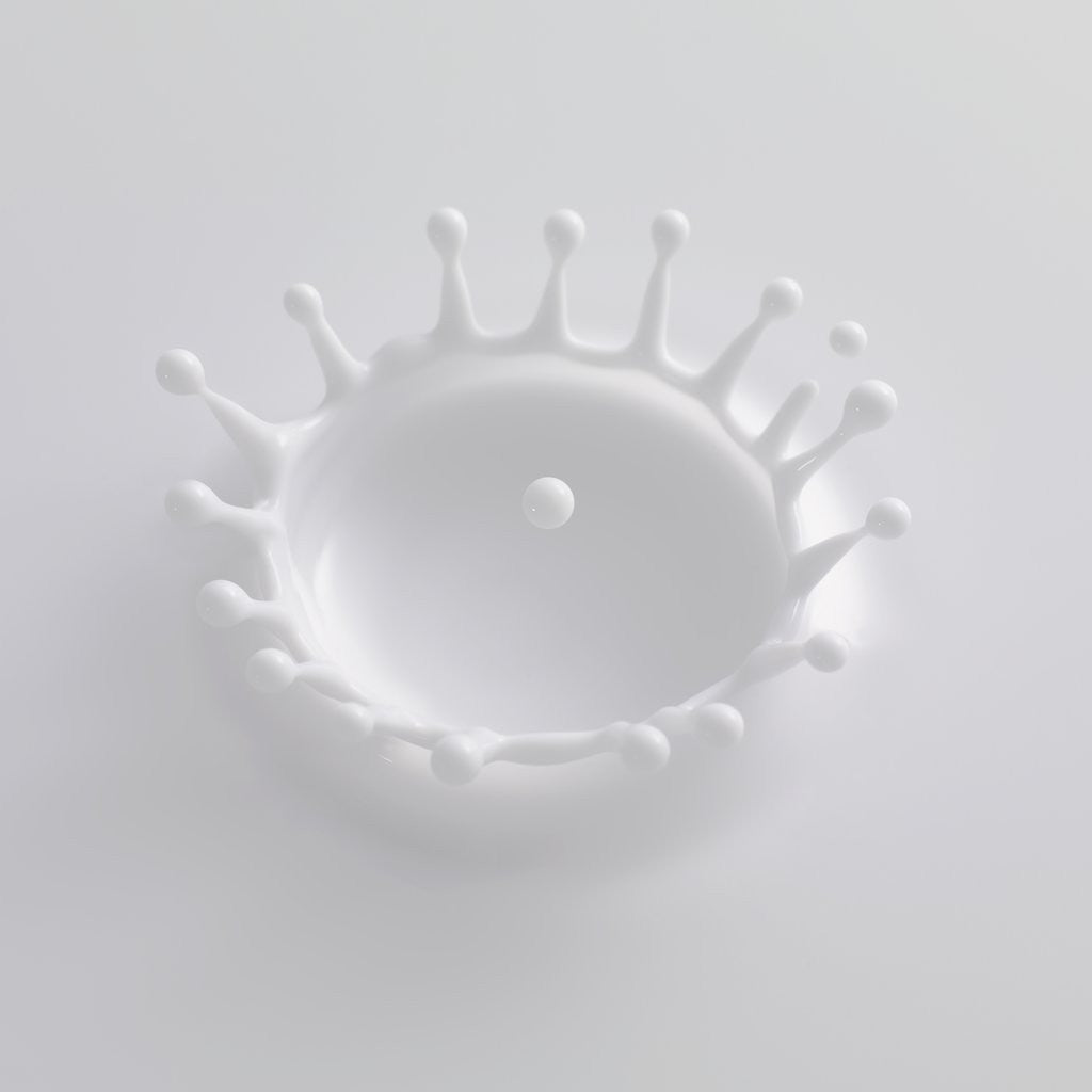 Detail of Splash of Milk by Anonymous