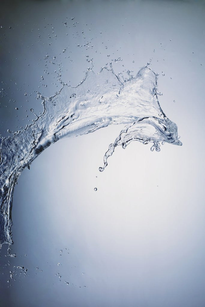 Detail of Water Splash by Anonymous