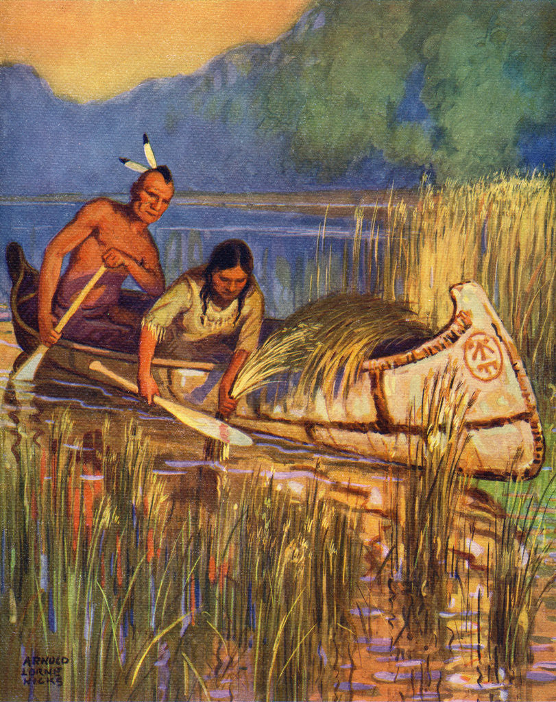 Detail of Illustration of Native Americans harvesting wild rice by Arnold Lorne Hicks