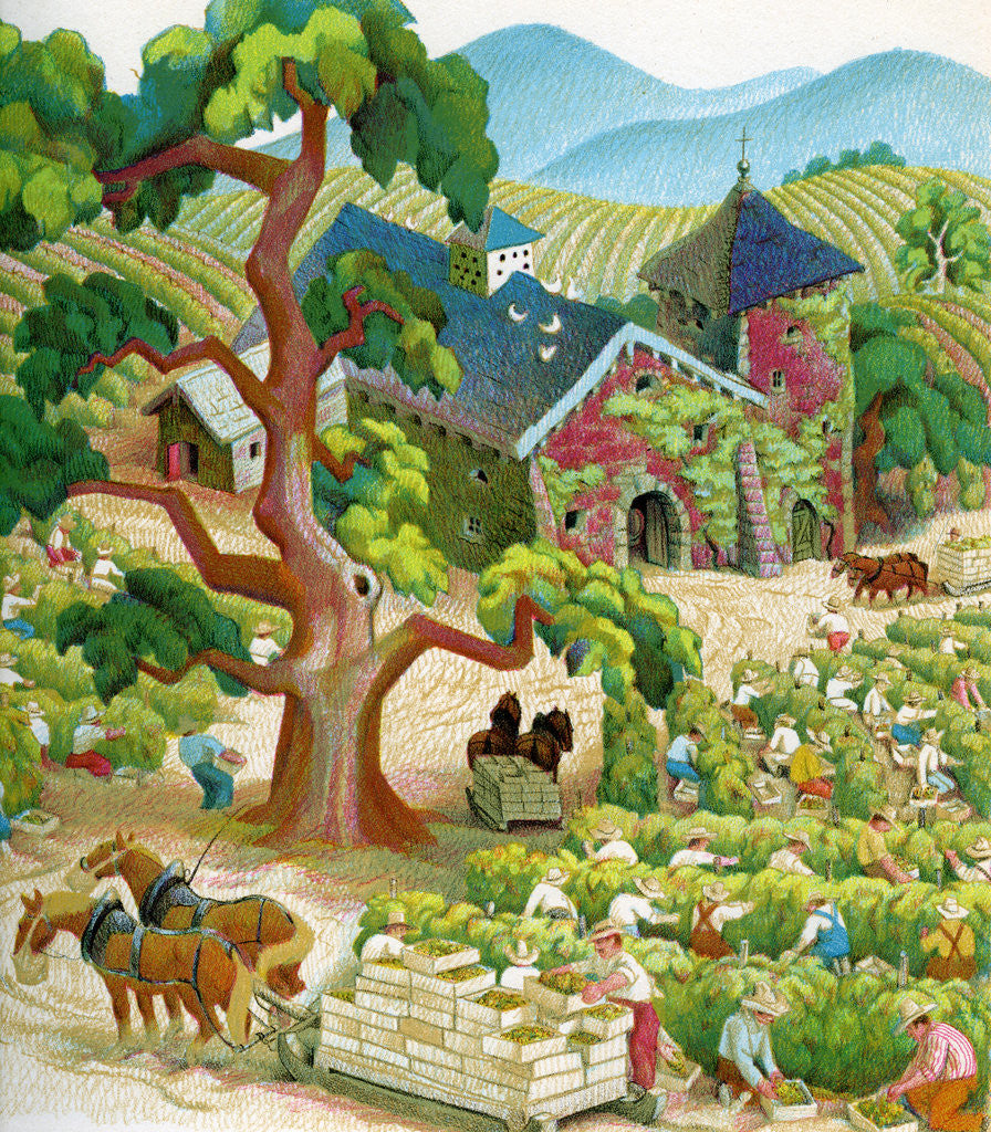 Detail of Illustration of Laborers Harvesting Grapes in Napa Valley by C.H. DeWitt