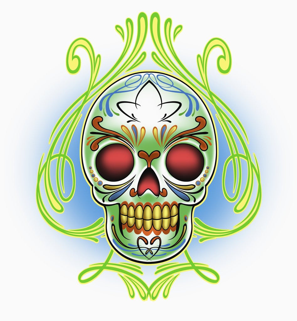 Detail of Mexican Skull by Anonymous