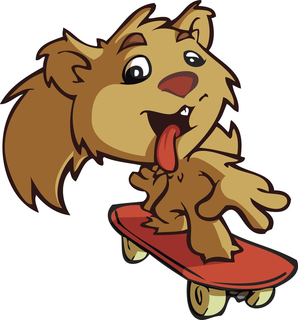 Detail of Squirrel on Skateboard by Anonymous