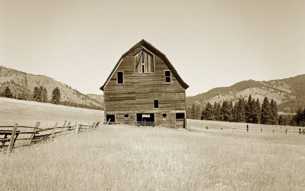 Detail of Barn in a Golden Field by Tom Marks