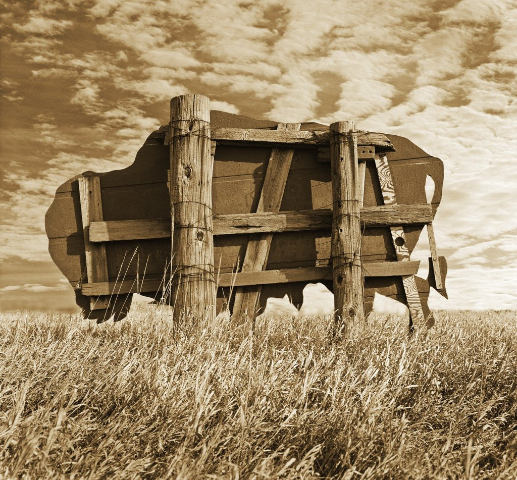 Detail of Abandoned Buffalo Sign by Tom Marks
