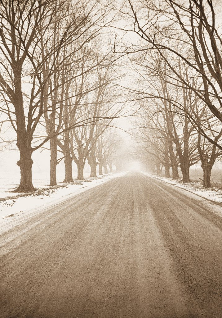 Detail of Peaceful Country Road in Rural Michigan by Tom Marks
