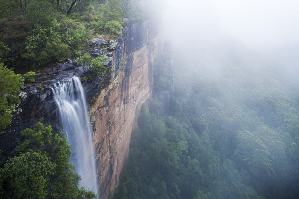 Detail of Fog over Fitzroy Falls in Morton National Park by Anonymous