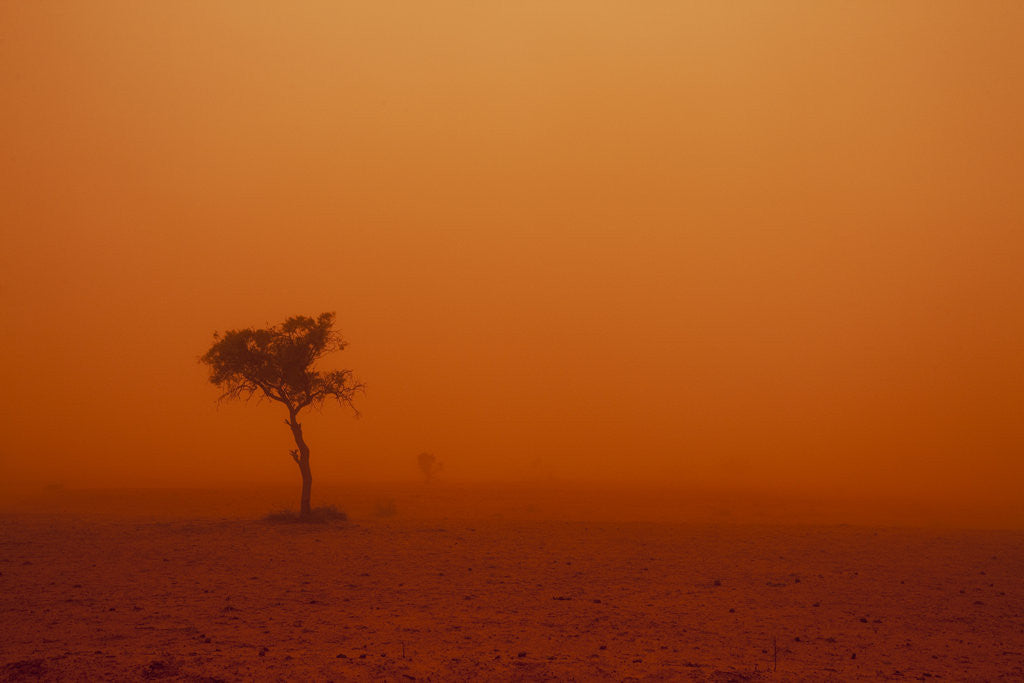 Detail of Dust storm in the Australian Outback by Anonymous