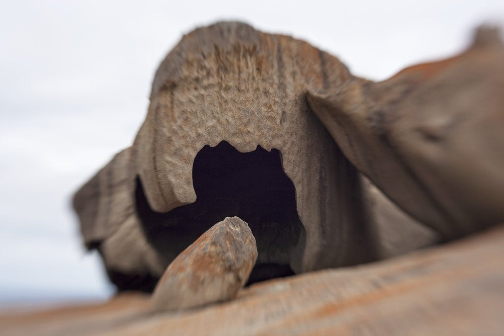Detail of Remarkable Rocks formation in Flinders Chase National Park by Anonymous