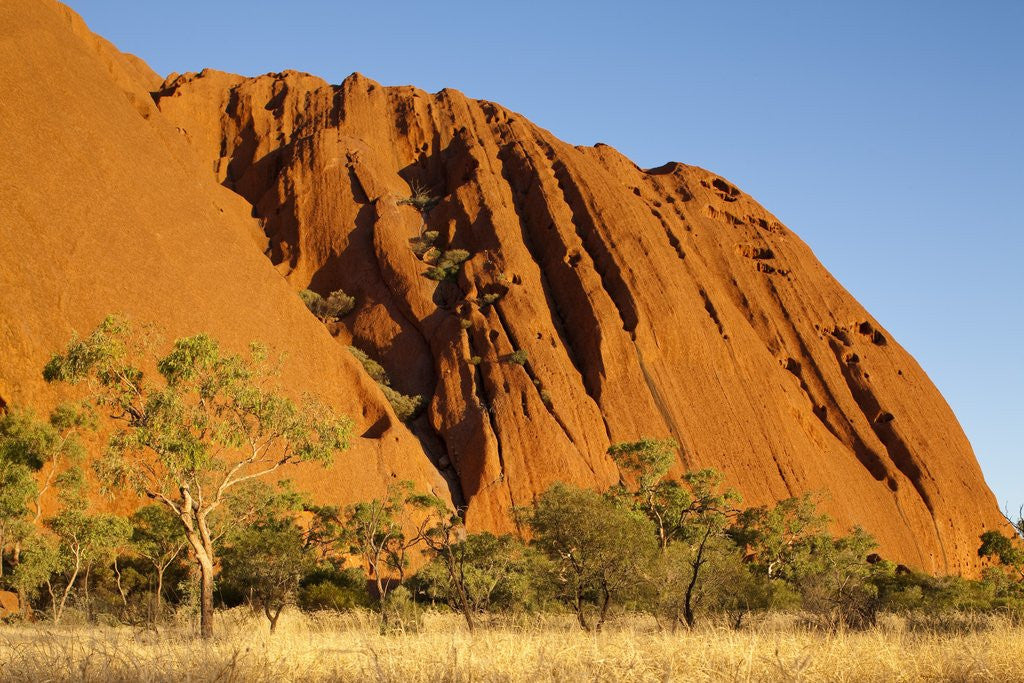Detail of Ayers Rock in the Australian Outback by Anonymous