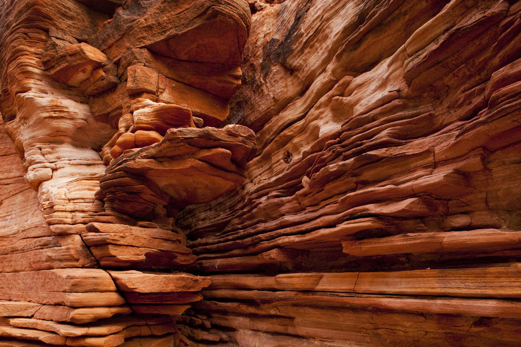 Detail of Sandstone rock formation in Kings Canyon at Watarrka National Park by Anonymous