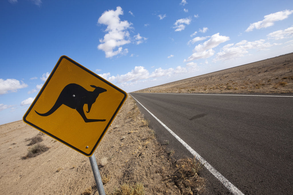Detail of Kangaroo crossing sign in the Australian Outback by Corbis