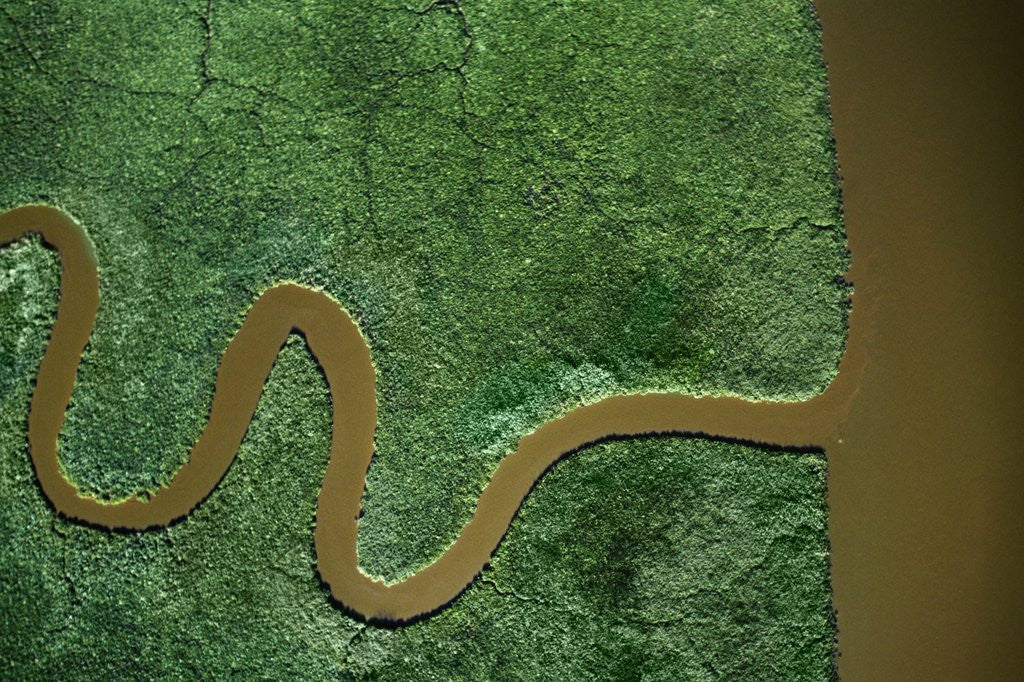 Detail of Aerial view of the Chickahominy River by Anonymous