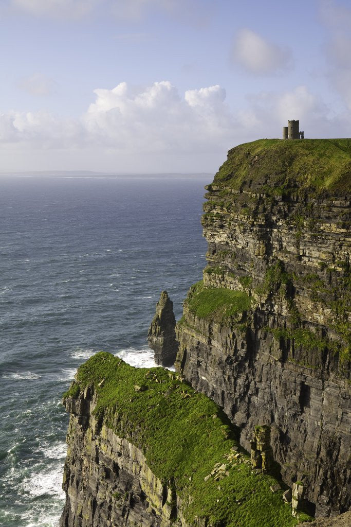 Detail of Cliffs of Moher by Anonymous