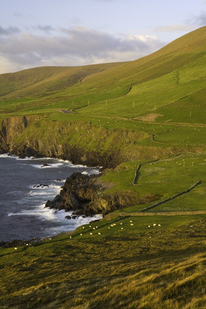 Detail of View towards Clougher Head by Anonymous