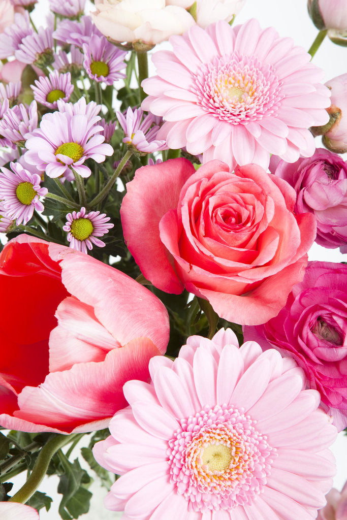 Detail of Bouquet with Gerbera daisies, rose and tulip by Anonymous
