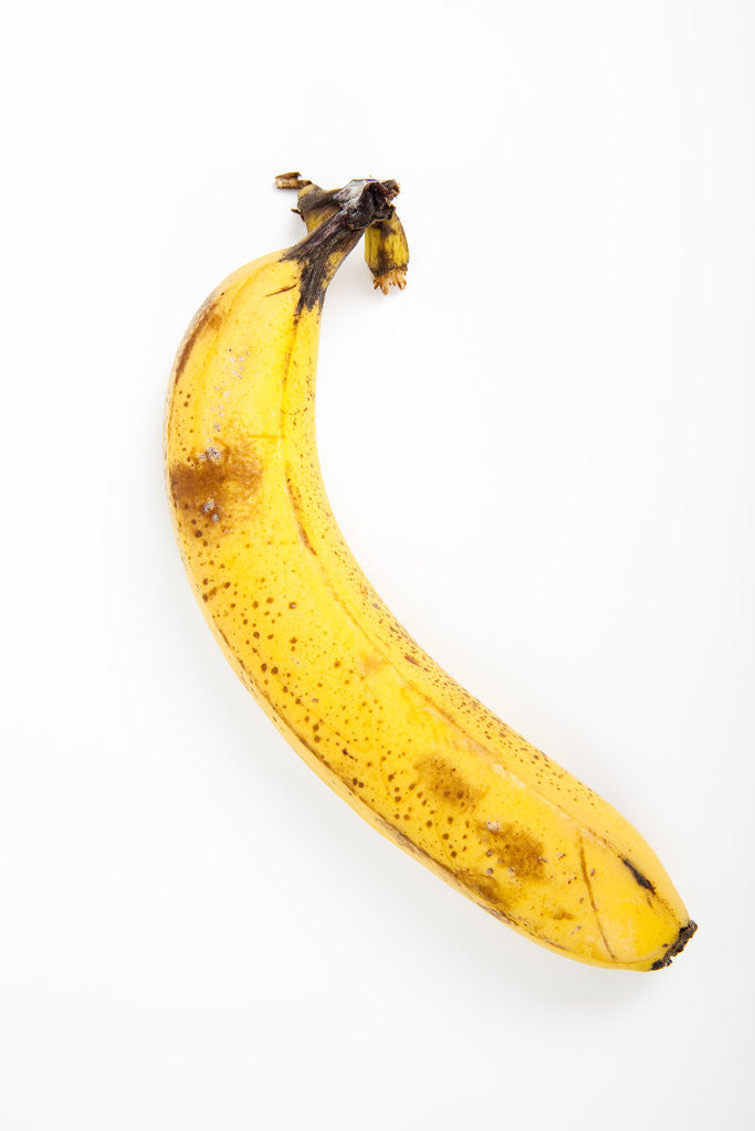 Detail of Banana by Anonymous