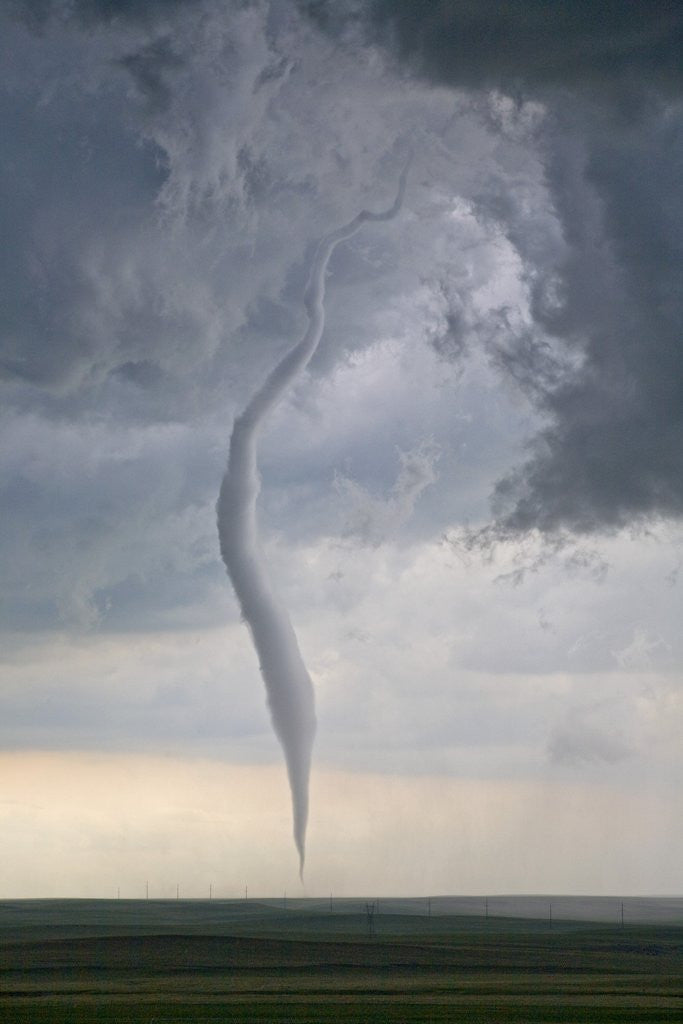 Detail of Rope tornado by Anonymous