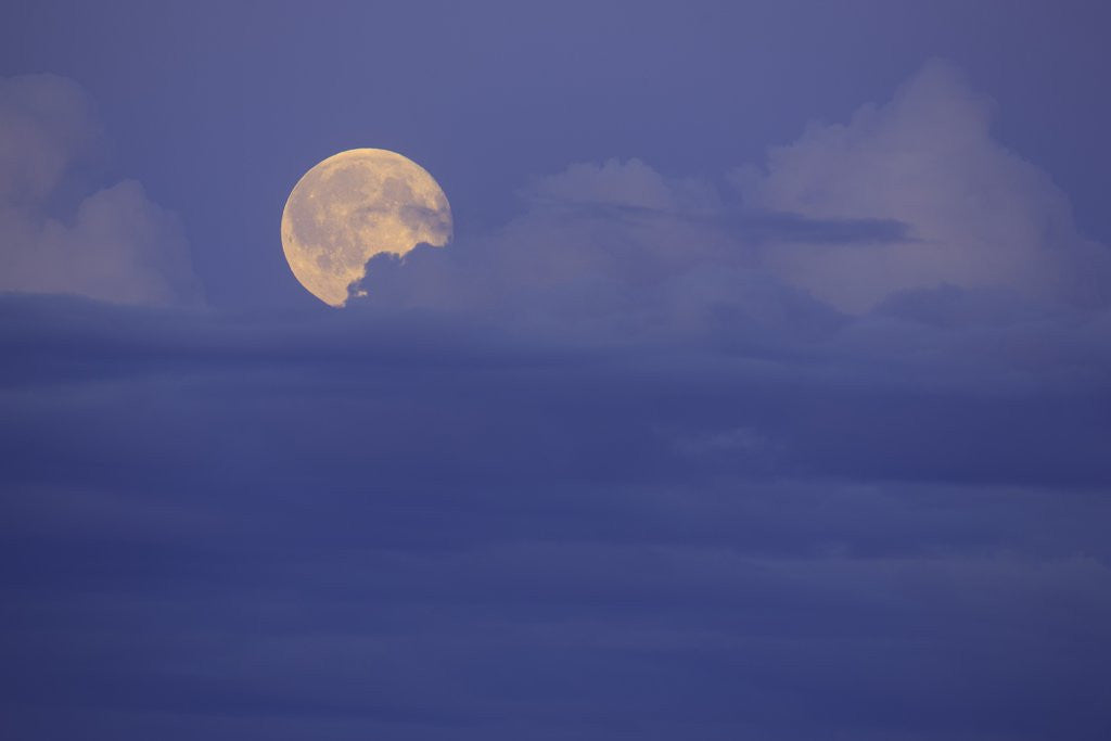 Detail of Rising Full Moon in Delta Junction by Anonymous