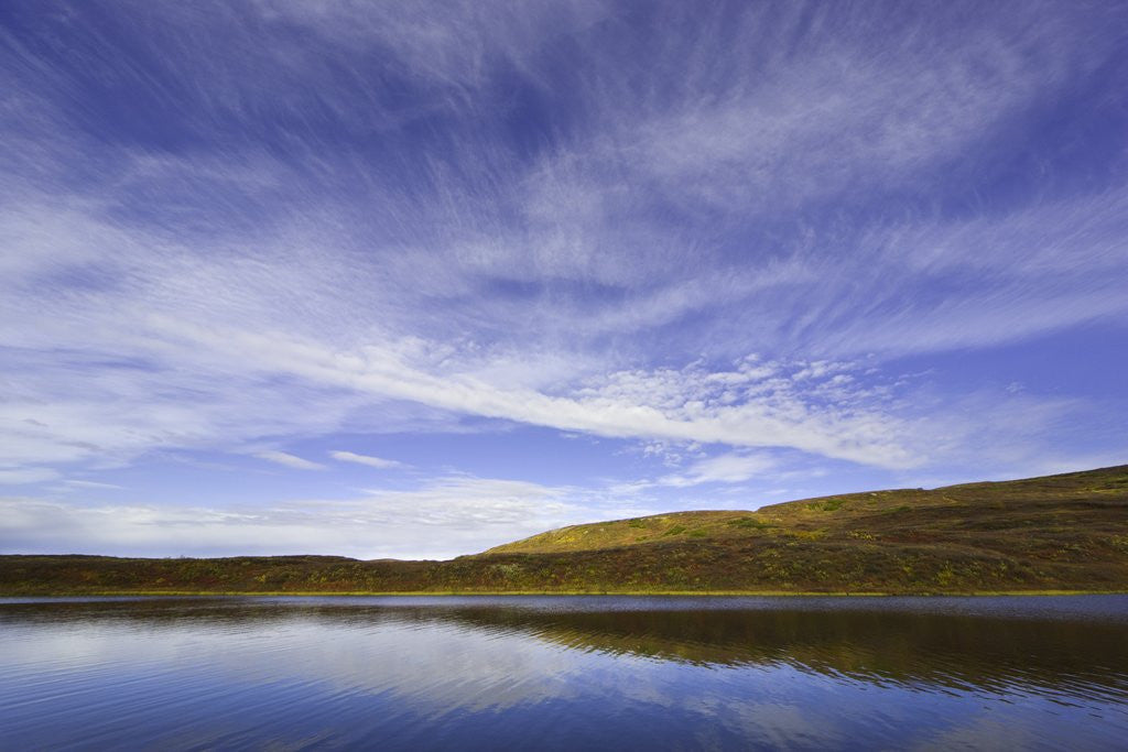 Detail of Cirrus and Cumulus Clouds Above Autumn Tundra in Denali National Park by Anonymous
