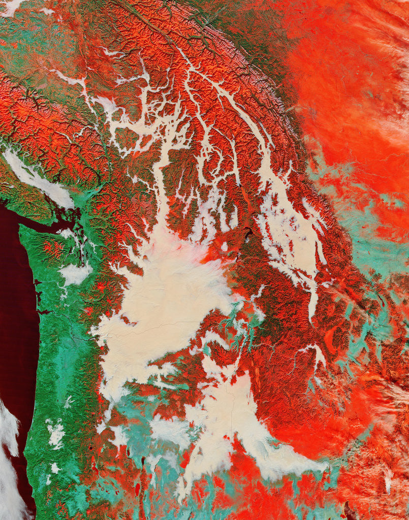 Detail of Pacific Northwest by Anonymous