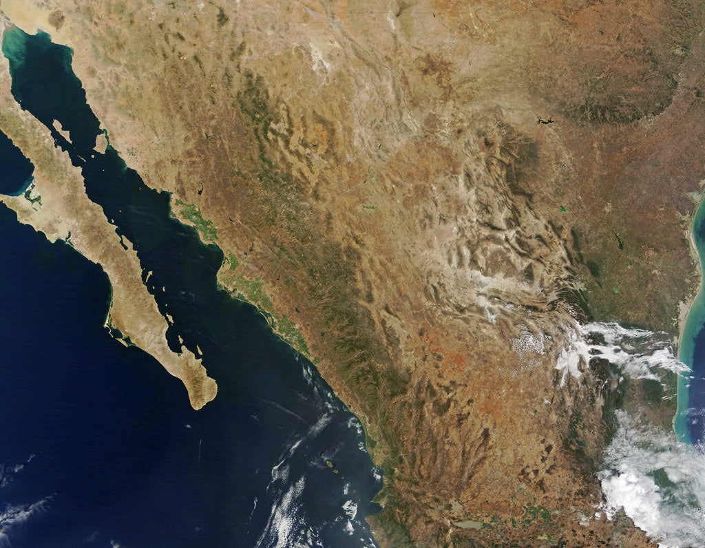Detail of Baja State by Anonymous