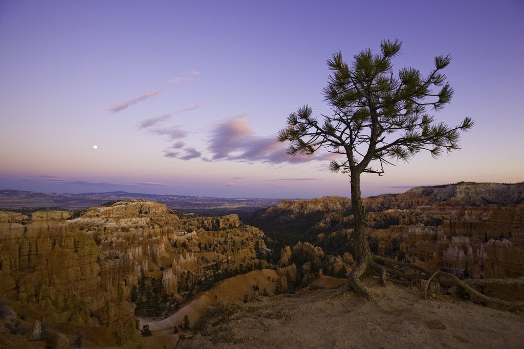 Detail of Moonrise over Bryce Canyon National Park by Anonymous