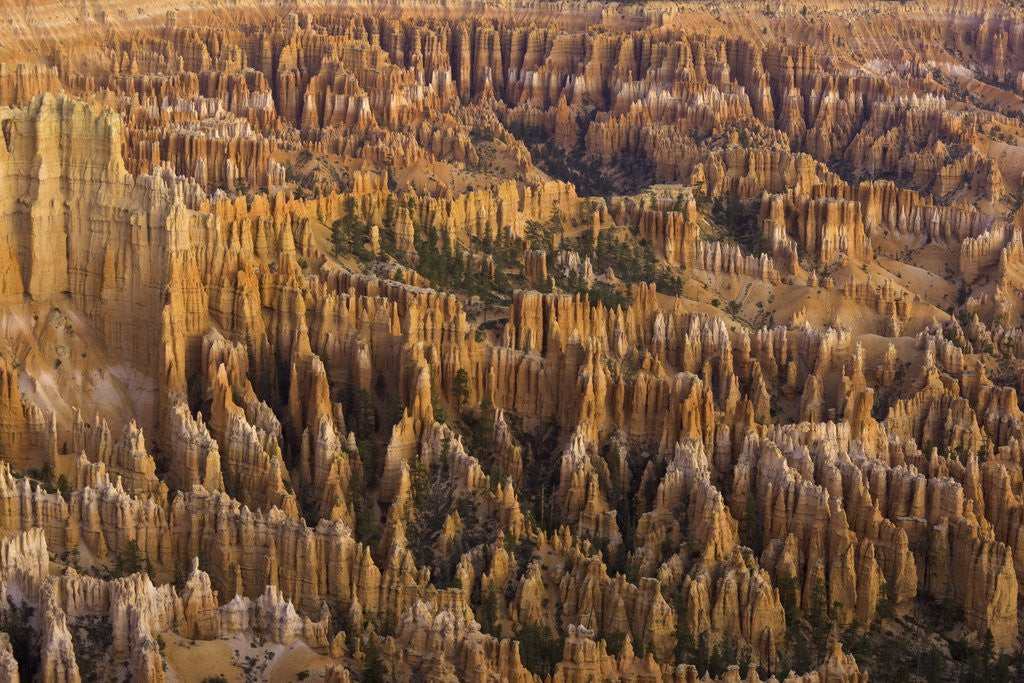 Detail of Hoodoos in Bryce Canyon National Park by Anonymous