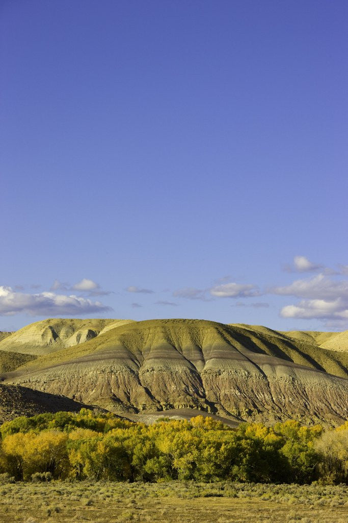 Detail of Sandstone buttes and cottonwoods in fall in Wyoming by Anonymous