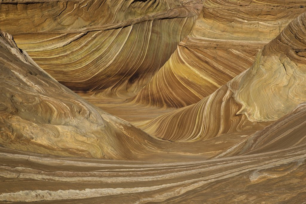 Detail of Colorful sandstone layers of The Wave at Coyote Buttes by Anonymous