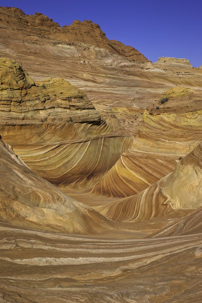 Detail of Colorful sandstone layers of The Wave at Coyote Buttes by Anonymous