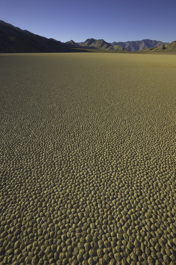 Detail of Granulated surface of sandy playa called Racetrack, Death Valley National Park, CA by Anonymous