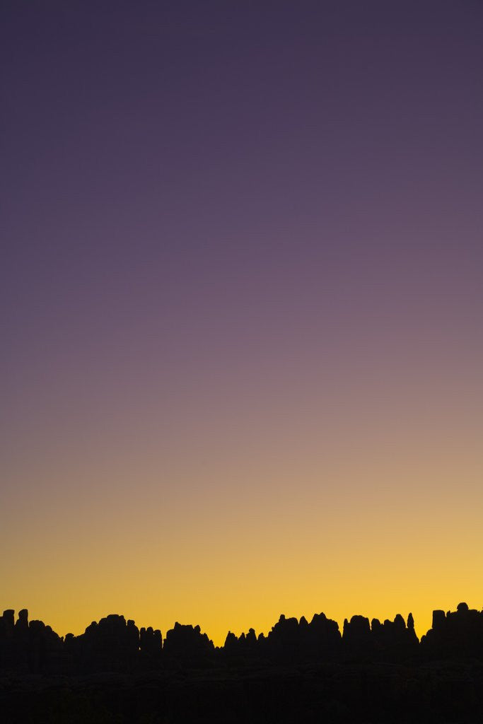 Detail of Sunset in the Needles District in Canyonlands National Park by Anonymous