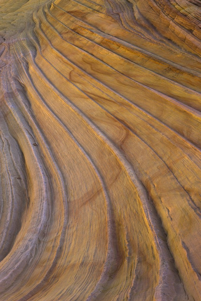 Detail of Colorful striated sandstone layers at Coyote Buttes by Anonymous